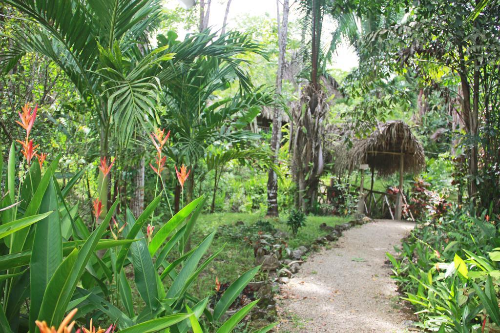 Sun Creek Lodge Punta Gorda Eksteriør billede
