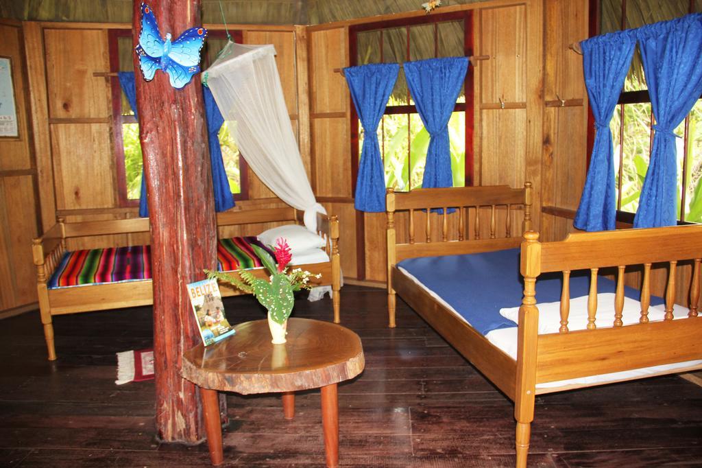 Sun Creek Lodge Punta Gorda Værelse billede