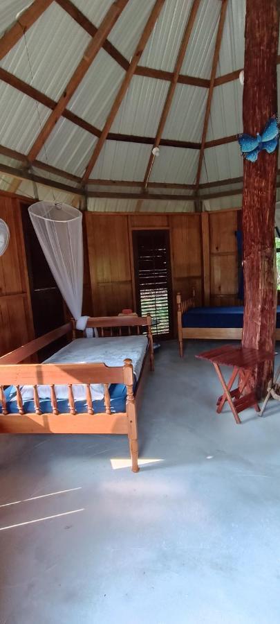 Sun Creek Lodge Punta Gorda Eksteriør billede