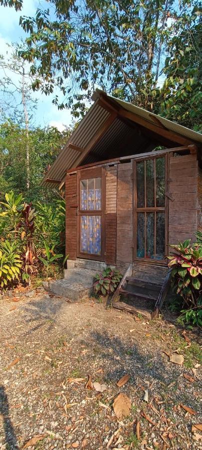 Sun Creek Lodge Punta Gorda Eksteriør billede