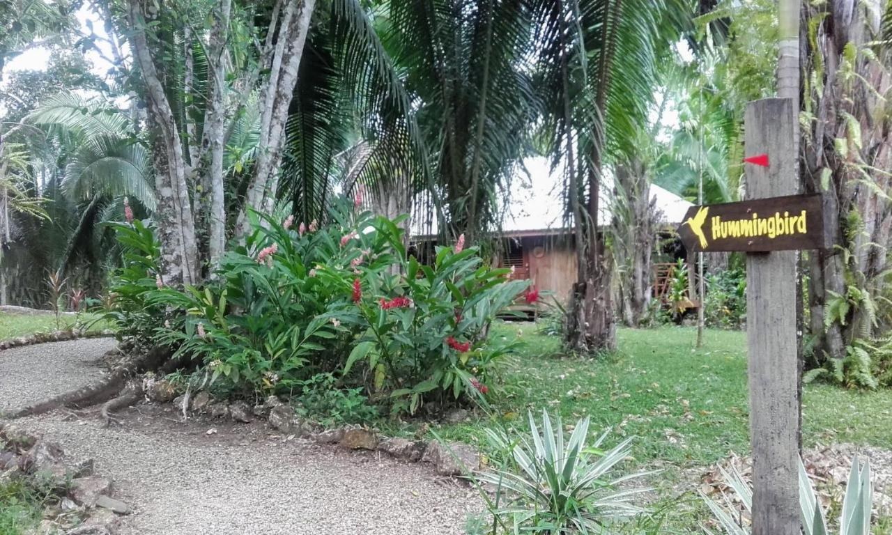 Sun Creek Lodge Punta Gorda Eksteriør billede