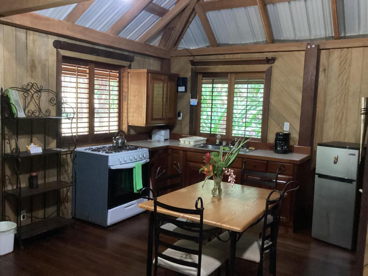 Sun Creek Lodge Punta Gorda Eksteriør billede