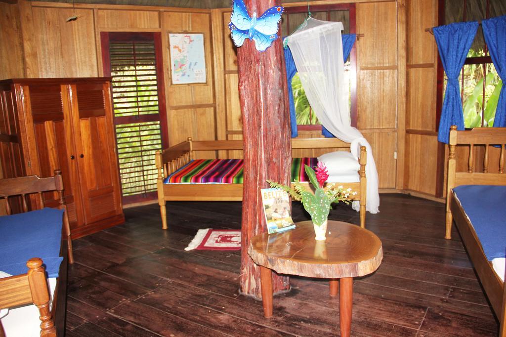 Sun Creek Lodge Punta Gorda Værelse billede