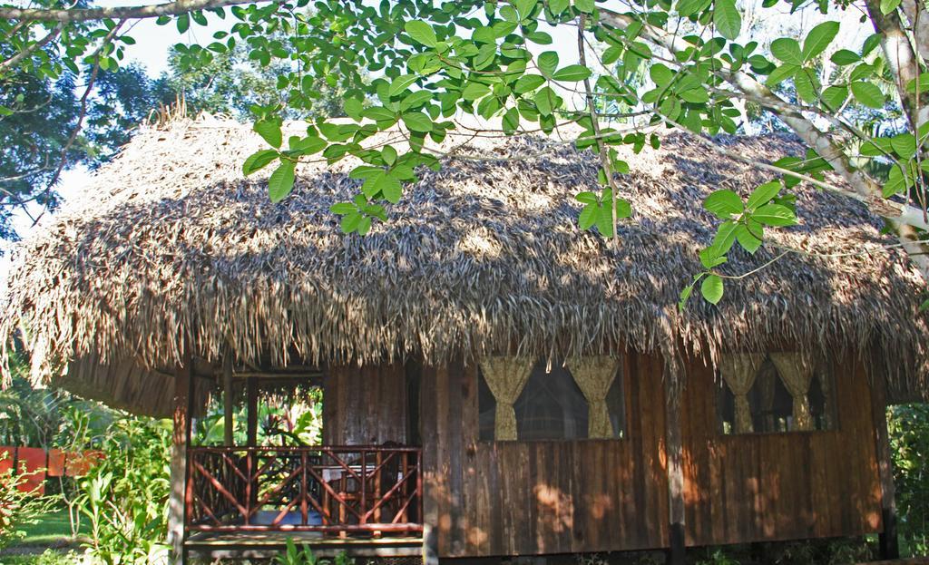 Sun Creek Lodge Punta Gorda Værelse billede
