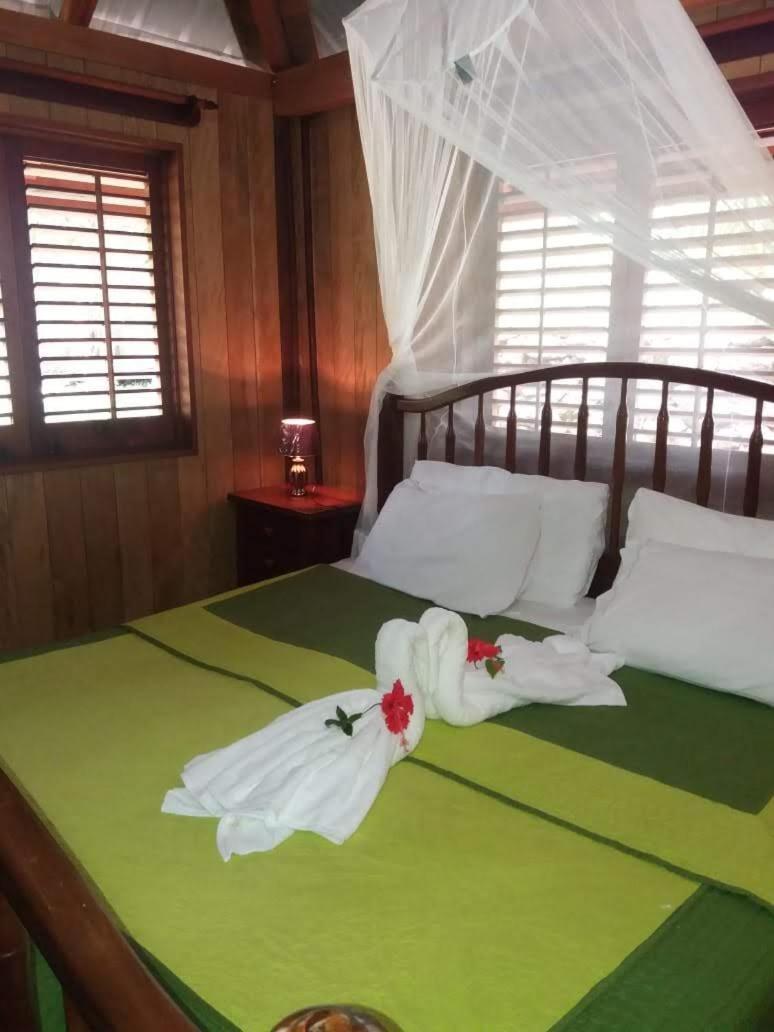 Sun Creek Lodge Punta Gorda Eksteriør billede